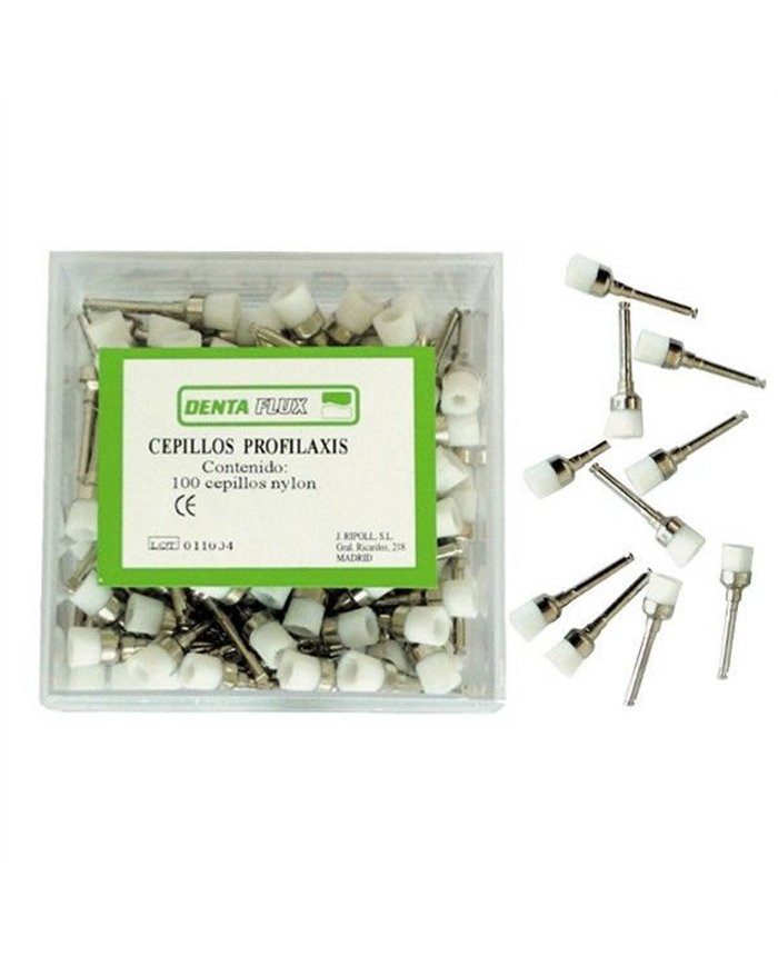 Escovas c/ cerdas de nylon 100un.